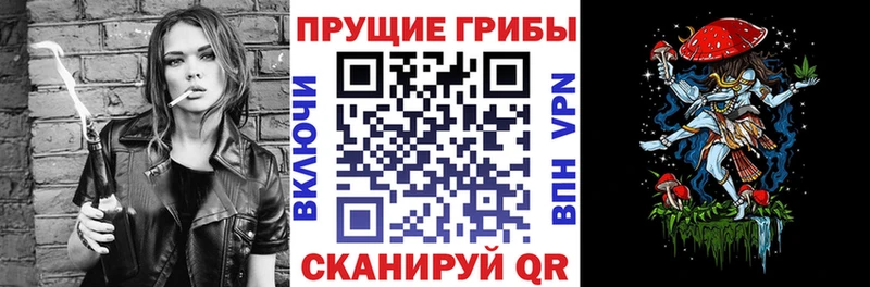 Купить где  Кириши  Галлюциногенные грибы Cubensis 