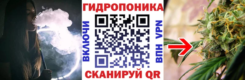 Бошки марихуана планчик  Купить закладки  Кириши 